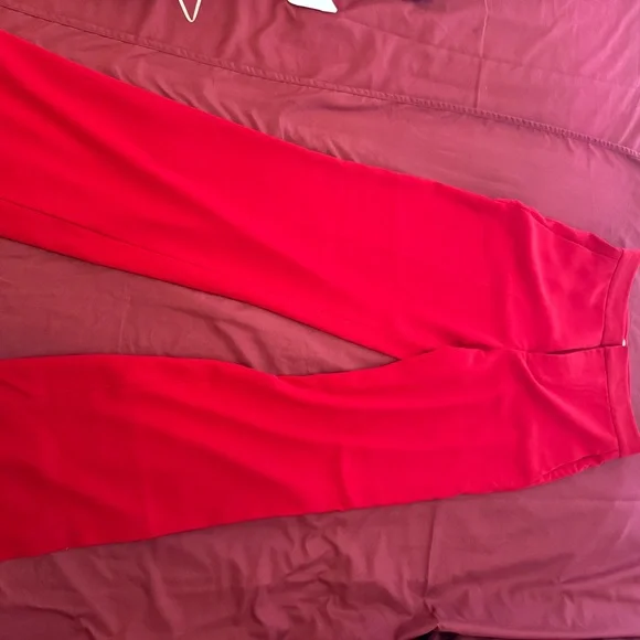 Zara Red Pants - Picture 3 of 5